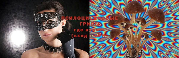дмт Алексин