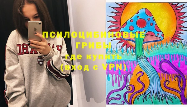 дмт Алексин