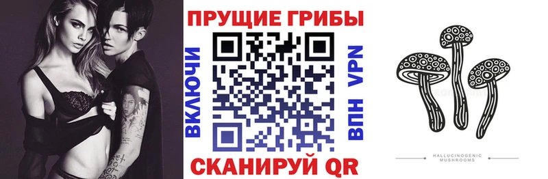 omg онион  Краснообск  Псилоцибиновые грибы Psilocybe  где можно купить наркотик 